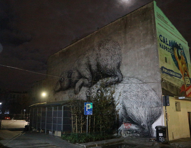 ROA street art in Warsaw.