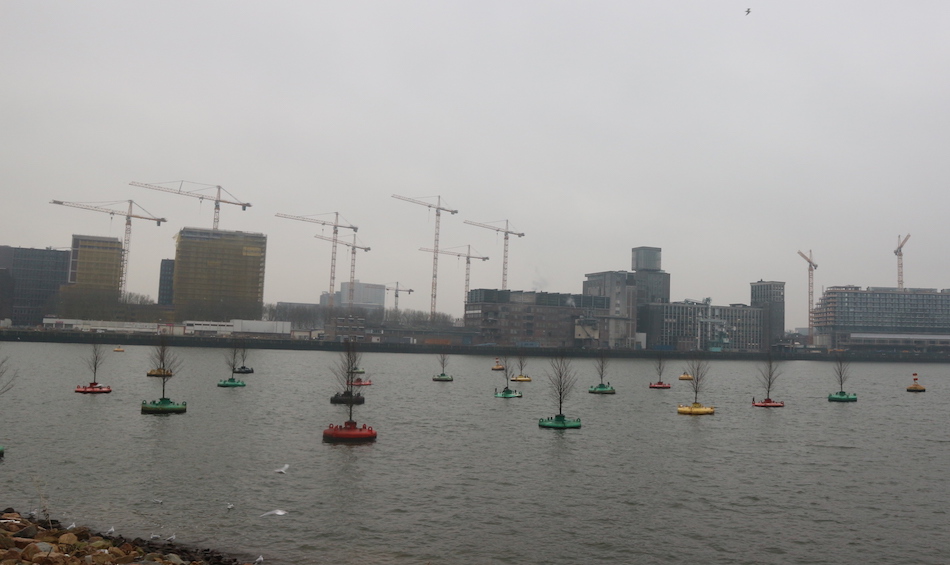 Bobbing forest, Rotterdam.