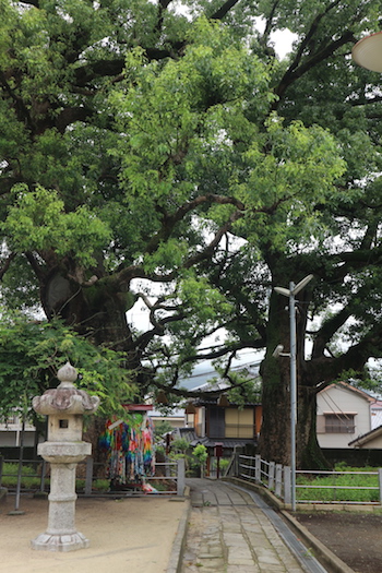 Sanno shrine. Nagasaki Japan.