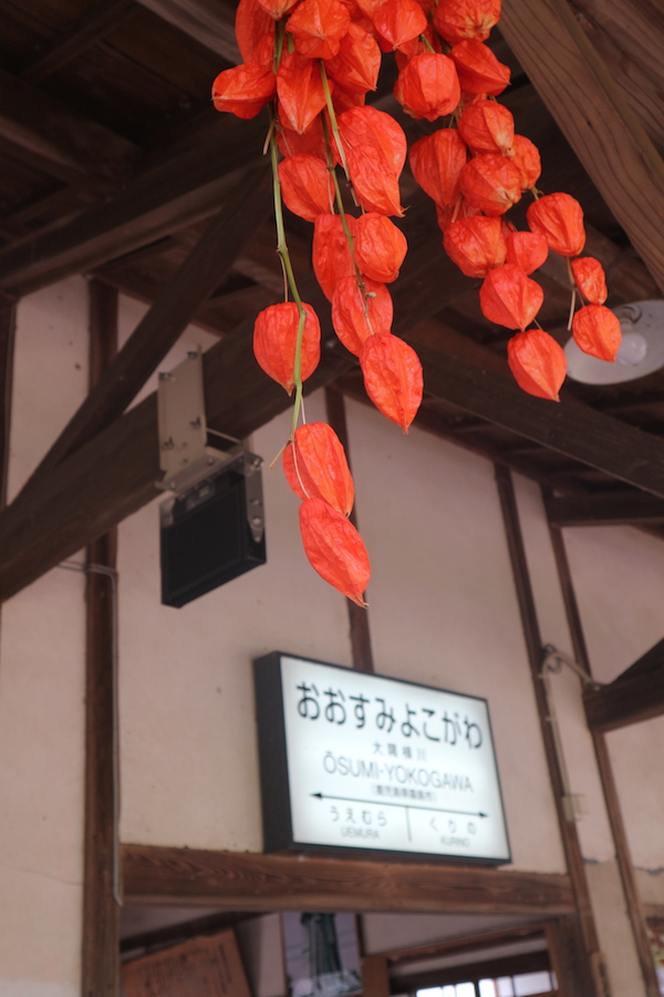 Osumiyokogawa station. How to travel from Kumamoto to Kagoshima by special sightseeing trains