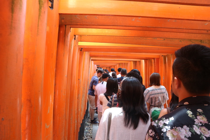 Torii gates in Fushimi inari