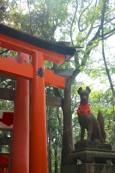 Fox in Fushimi inari shrine