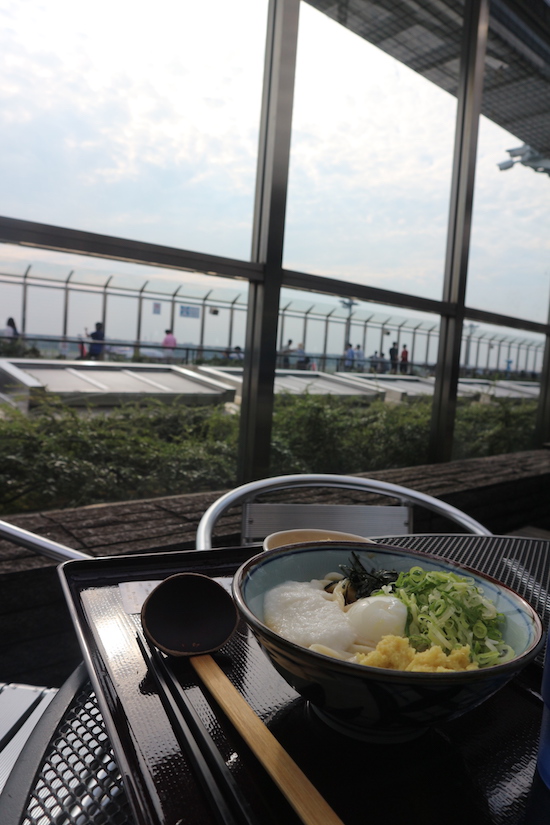 Udon at Narita airport